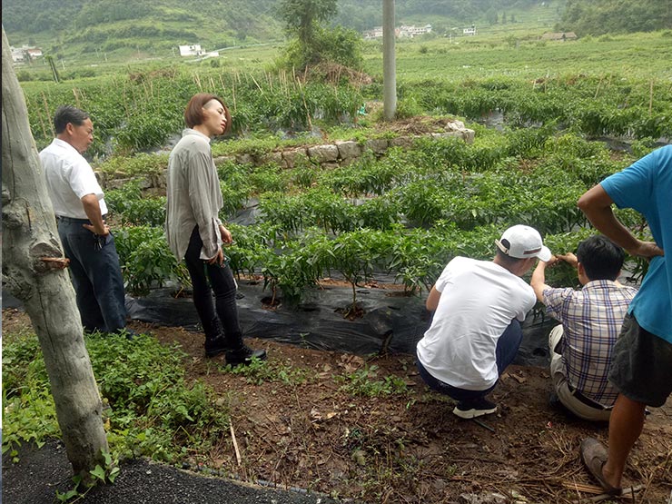 Z6·尊龙「中国区」官方网站