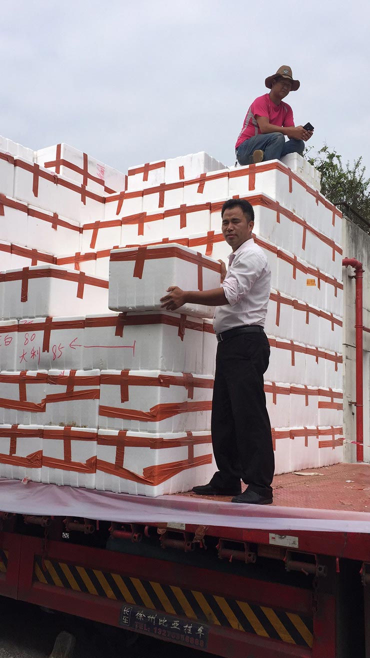 Z6·尊龙「中国区」官方网站