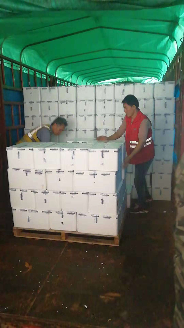 Z6·尊龙「中国区」官方网站