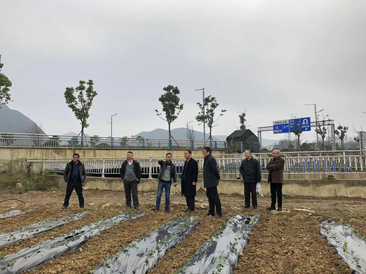 Z6·尊龙「中国区」官方网站