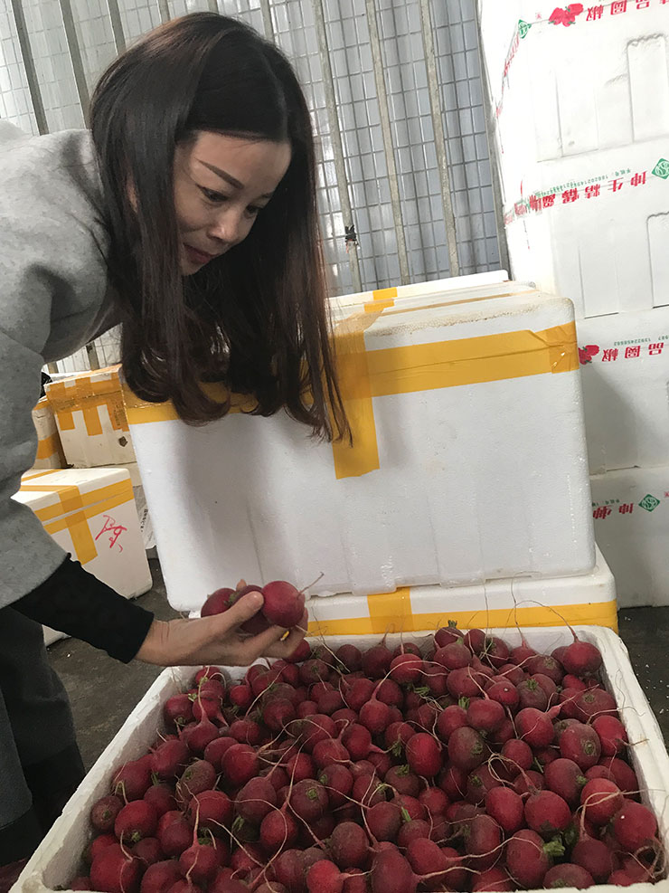 Z6·尊龙「中国区」官方网站