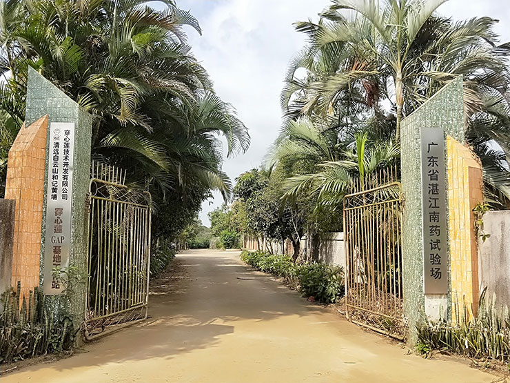 Z6·尊龙「中国区」官方网站