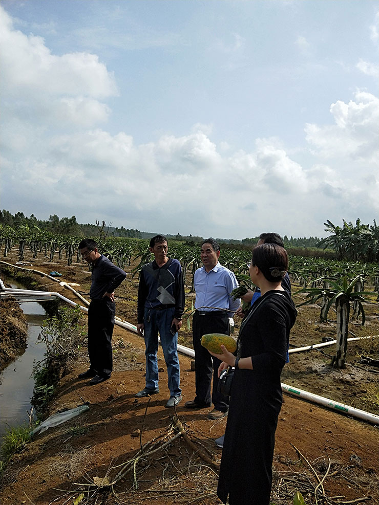 Z6·尊龙「中国区」官方网站