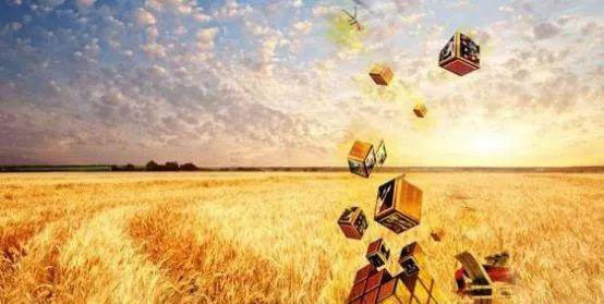 Z6·尊龙「中国区」官方网站