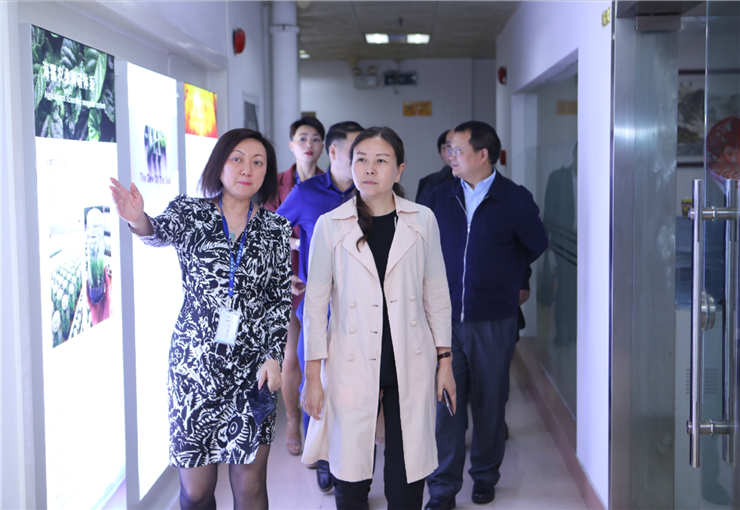 Z6·尊龙「中国区」官方网站