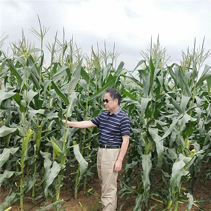 Z6·尊龙「中国区」官方网站