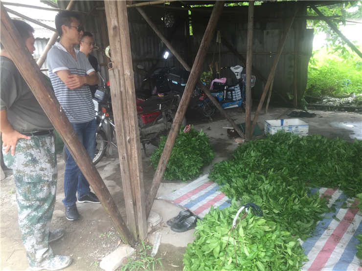 Z6·尊龙「中国区」官方网站