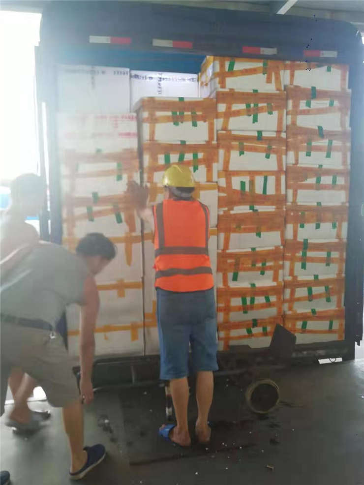 Z6·尊龙「中国区」官方网站