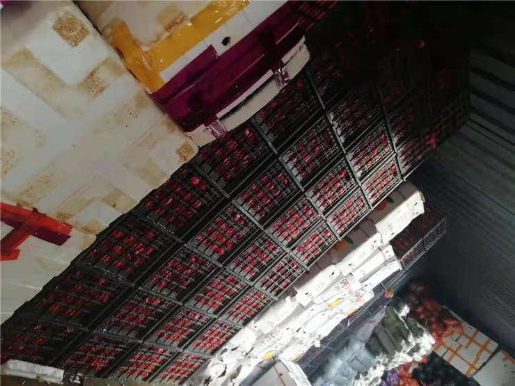 Z6·尊龙「中国区」官方网站