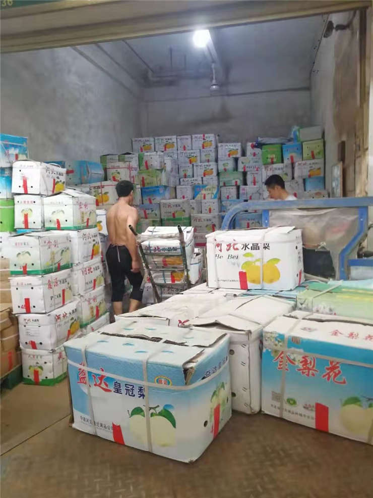 Z6·尊龙「中国区」官方网站