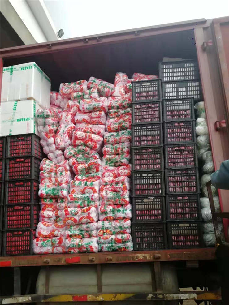 Z6·尊龙「中国区」官方网站