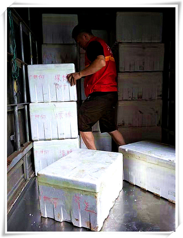 Z6·尊龙「中国区」官方网站