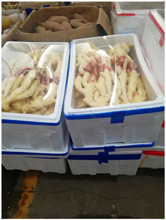 Z6·尊龙「中国区」官方网站