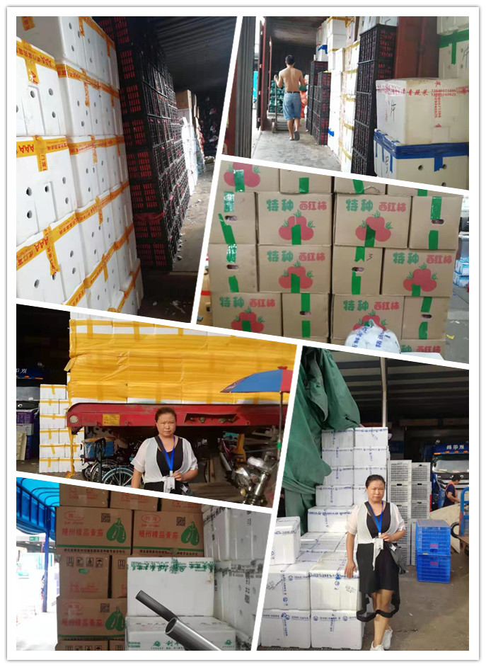 Z6·尊龙「中国区」官方网站