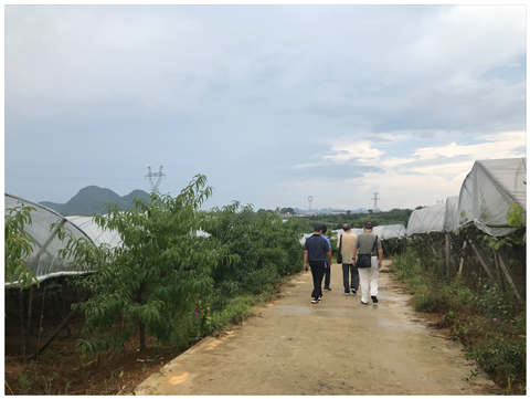 Z6·尊龙「中国区」官方网站