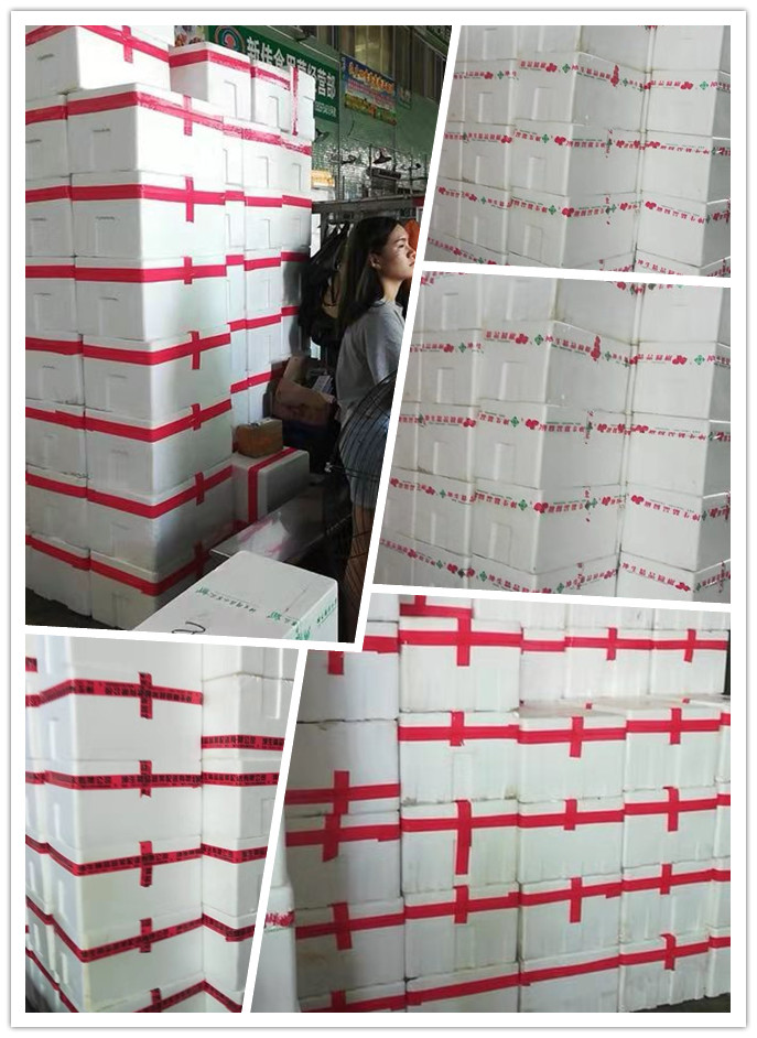 Z6·尊龙「中国区」官方网站