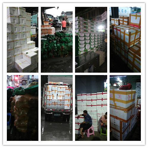 Z6·尊龙「中国区」官方网站