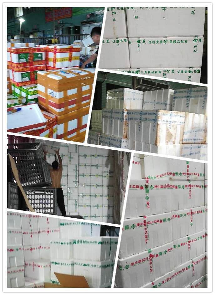 Z6·尊龙「中国区」官方网站