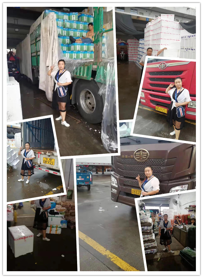 Z6·尊龙「中国区」官方网站