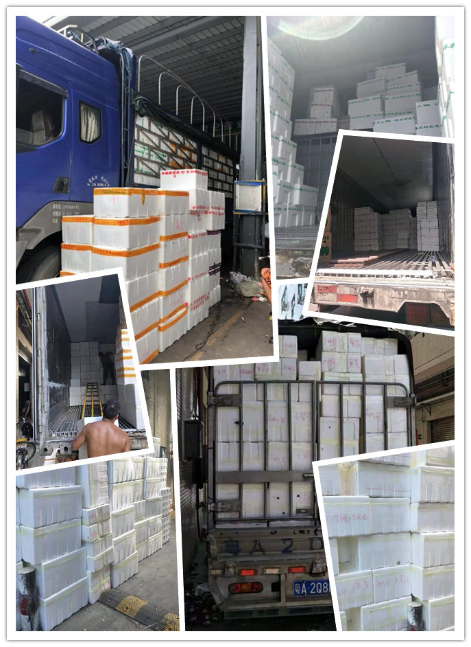 Z6·尊龙「中国区」官方网站