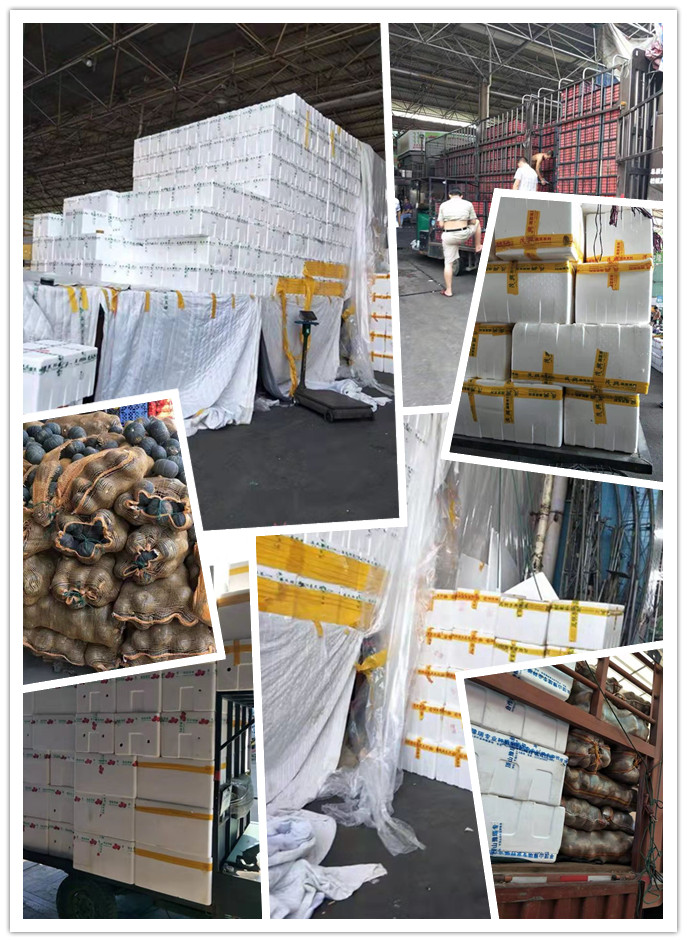 Z6·尊龙「中国区」官方网站