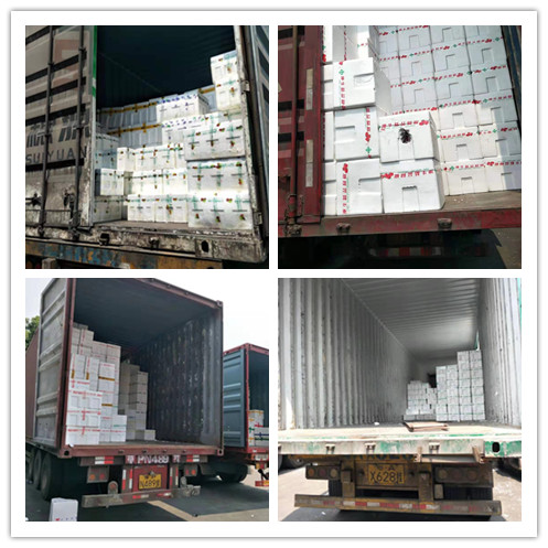 Z6·尊龙「中国区」官方网站