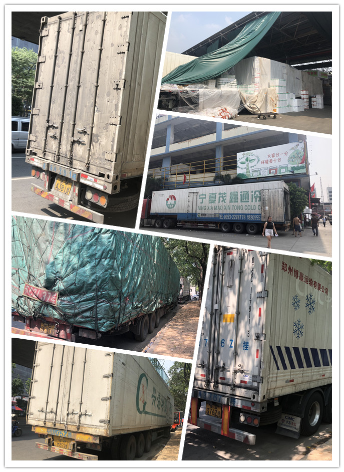 Z6·尊龙「中国区」官方网站