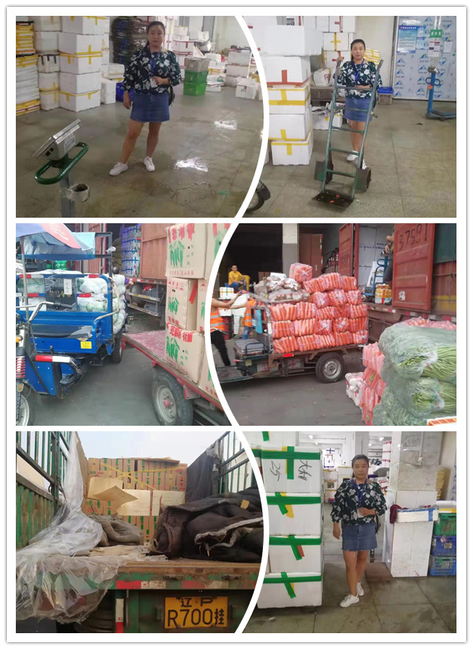 Z6·尊龙「中国区」官方网站