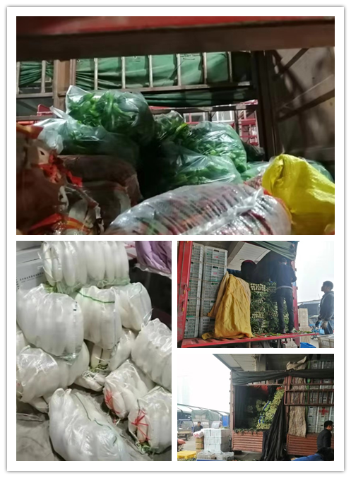 Z6·尊龙「中国区」官方网站