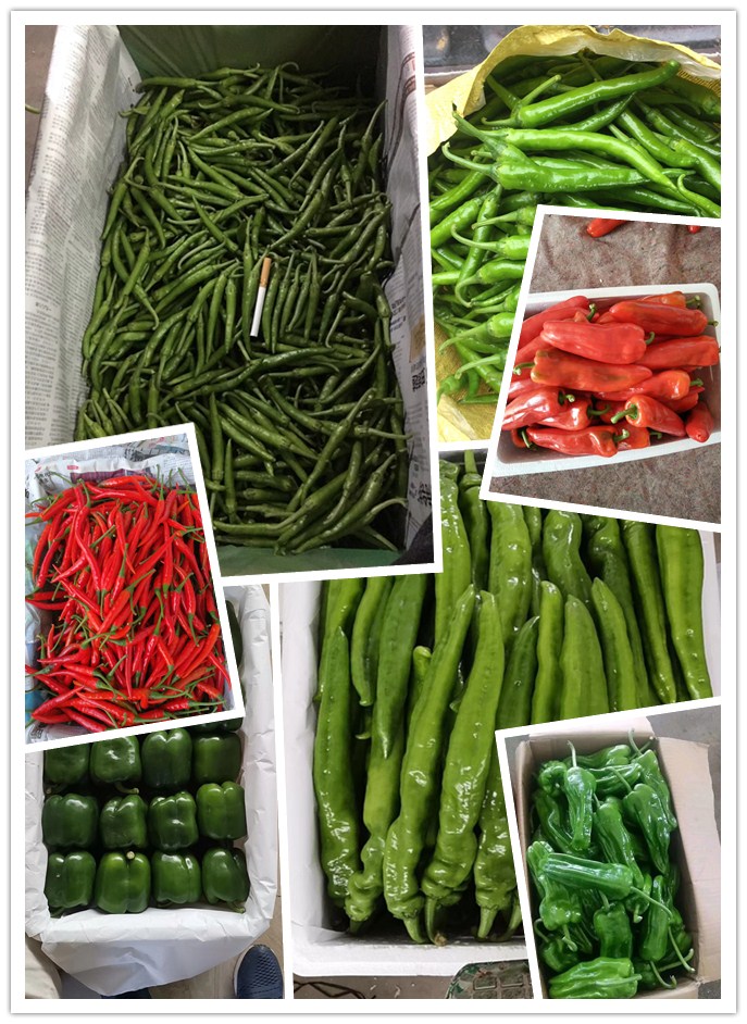 Z6·尊龙「中国区」官方网站