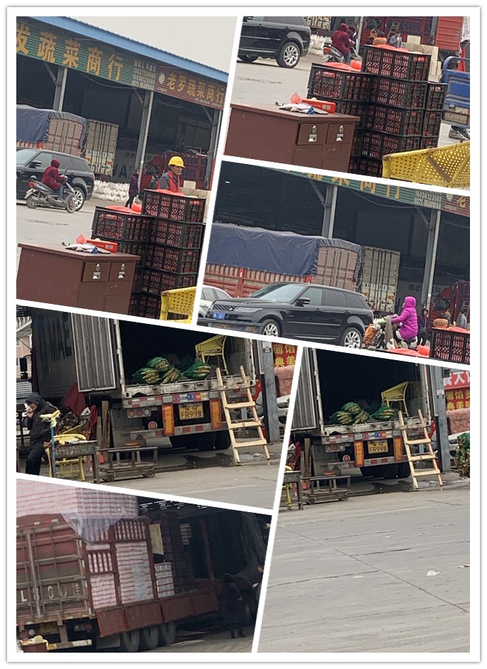 Z6·尊龙「中国区」官方网站