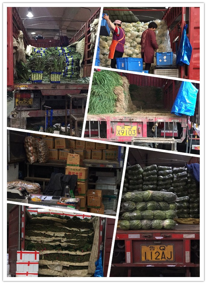 Z6·尊龙「中国区」官方网站