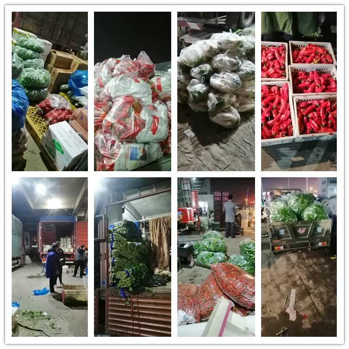 Z6·尊龙「中国区」官方网站