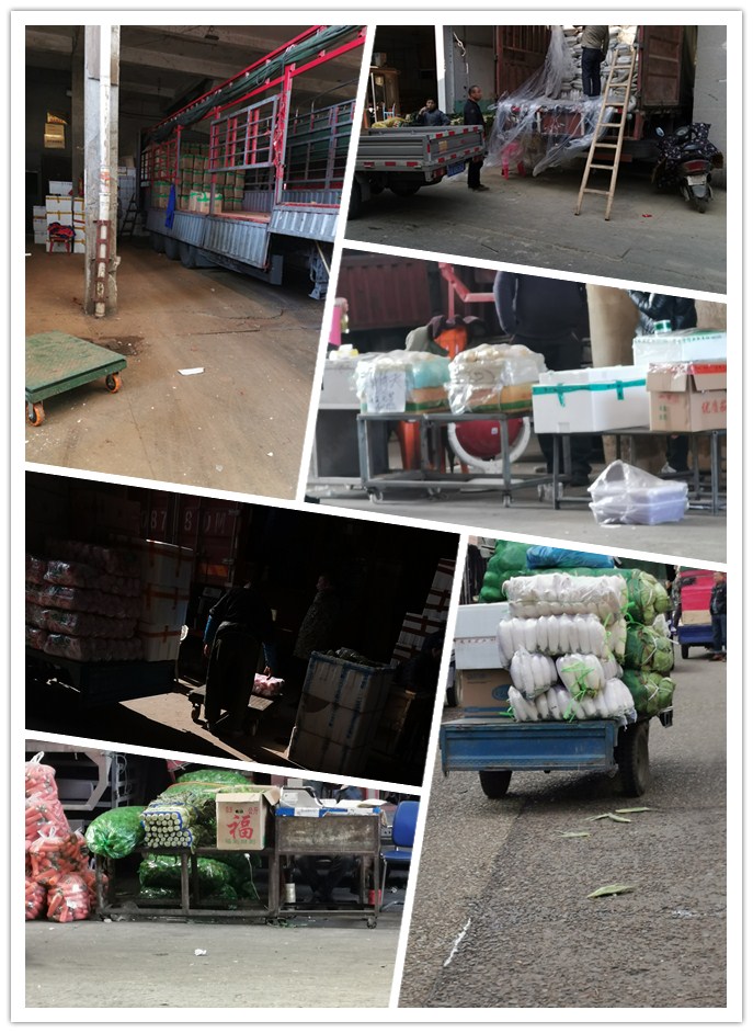 Z6·尊龙「中国区」官方网站