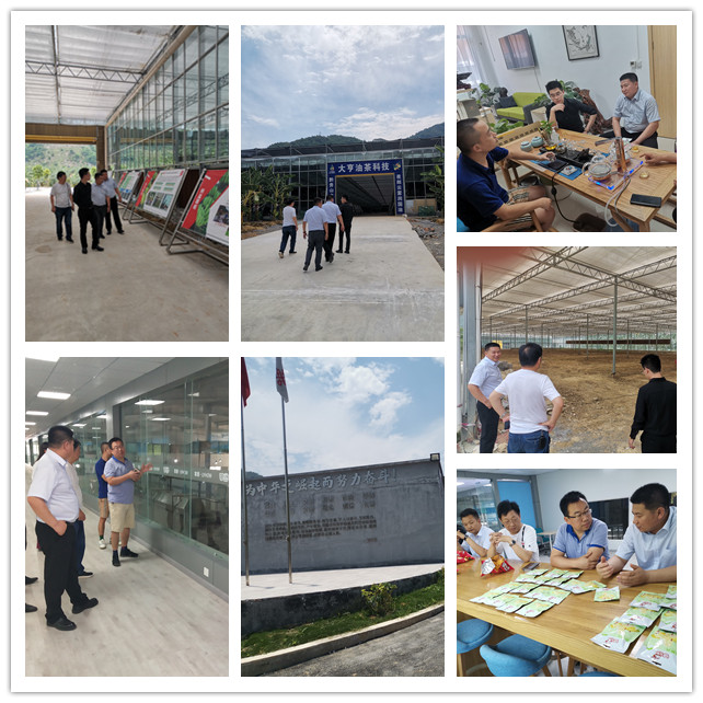 Z6·尊龙「中国区」官方网站