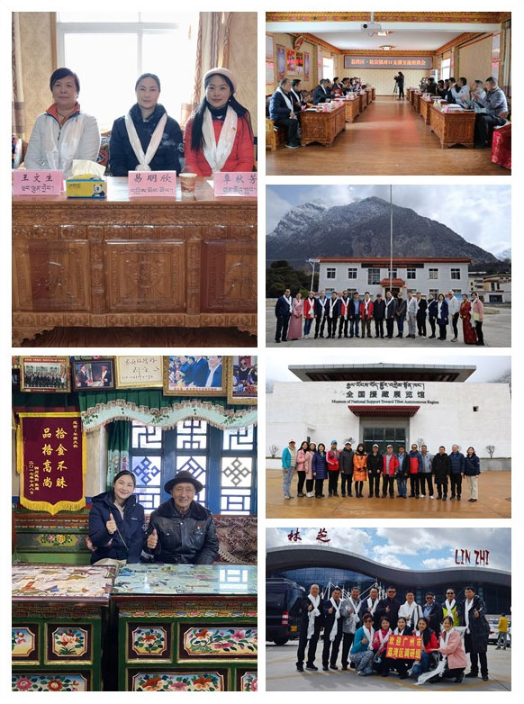 Z6·尊龙「中国区」官方网站