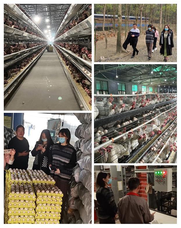 Z6·尊龙「中国区」官方网站