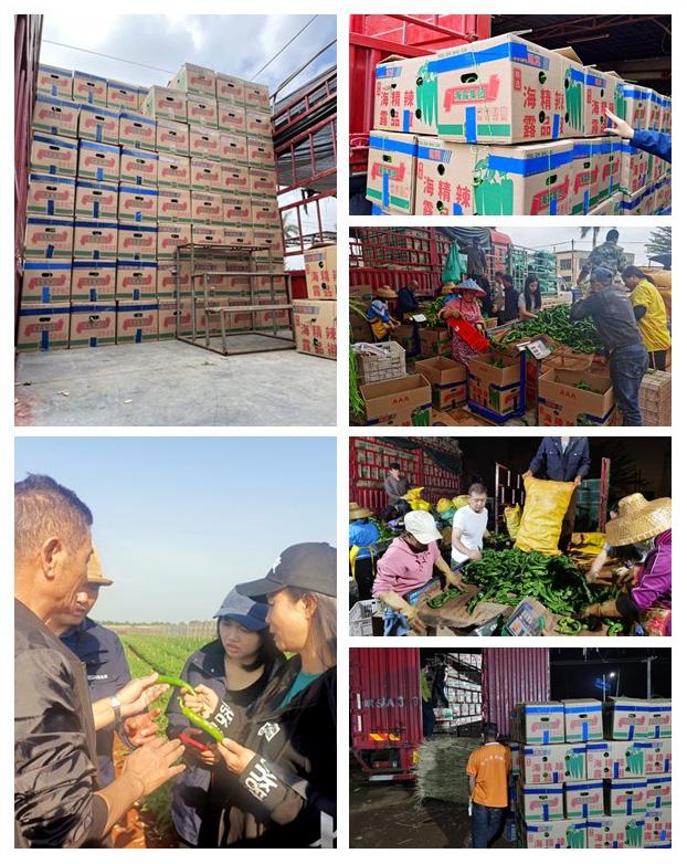 Z6·尊龙「中国区」官方网站