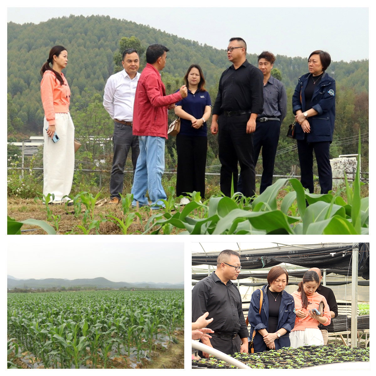 Z6·尊龙「中国区」官方网站