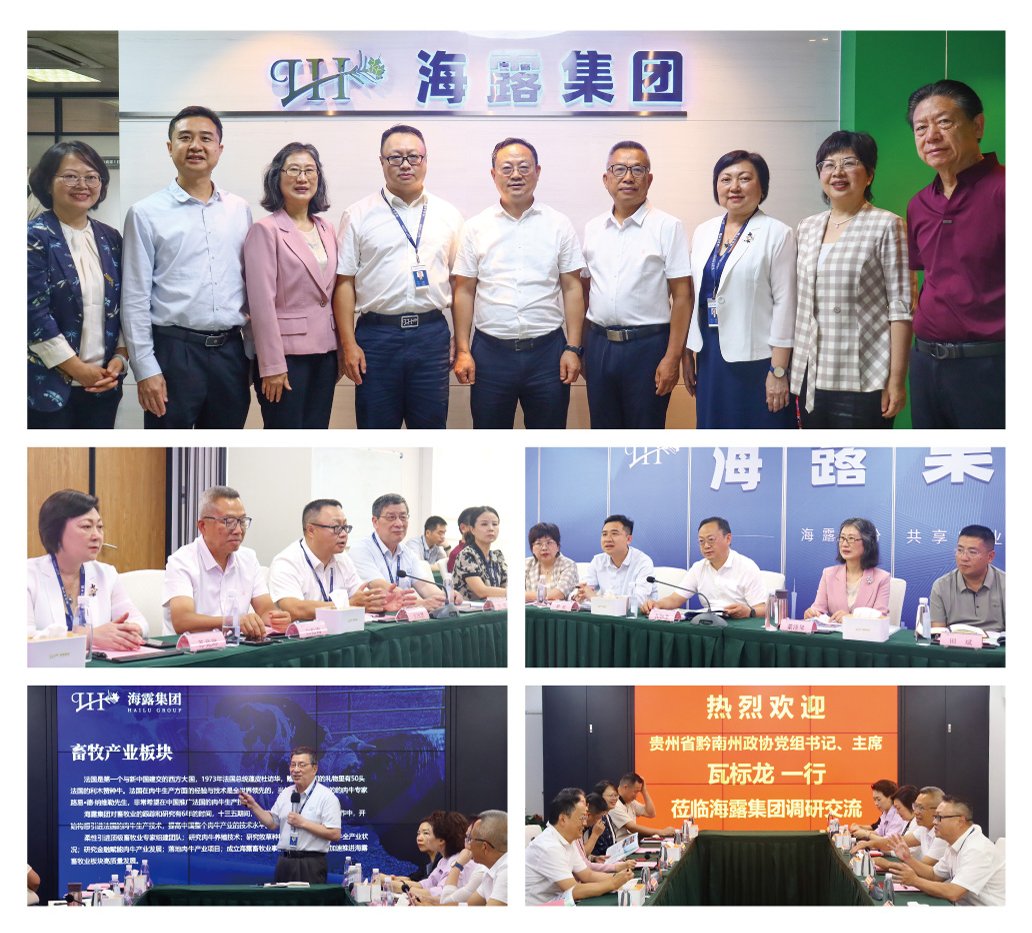 Z6·尊龙「中国区」官方网站