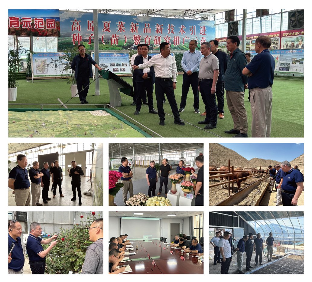 Z6·尊龙「中国区」官方网站