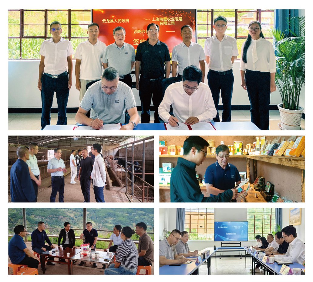 Z6·尊龙「中国区」官方网站