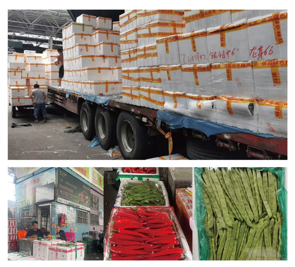 Z6·尊龙「中国区」官方网站